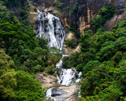 Untitled-design---2023-06-20T085421.428